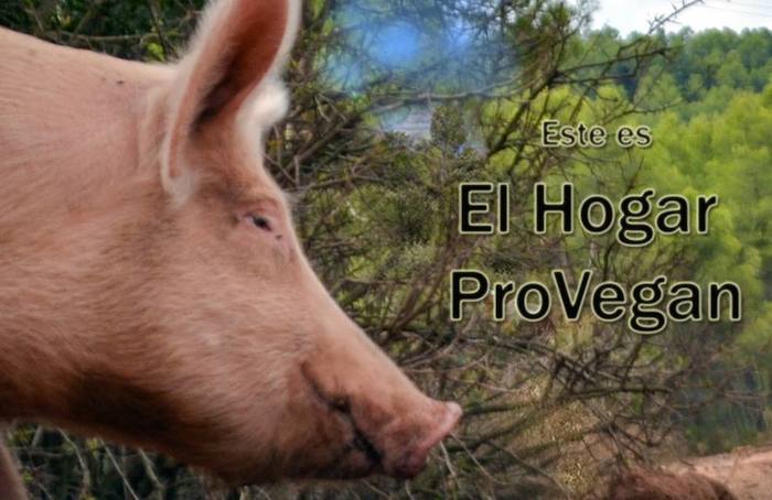 Nuestro futuro hogar